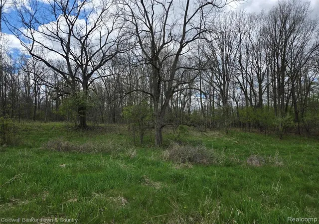 4th image of 00000 E Northfield Church Rd, Whitmore Lake, MI 48189 | MLS# 60988463
