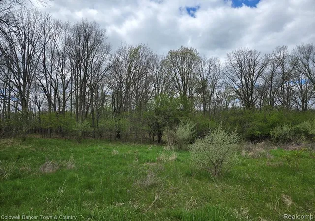 5th image of 00000 E Northfield Church Rd, Whitmore Lake, MI 48189 | MLS# 60988463