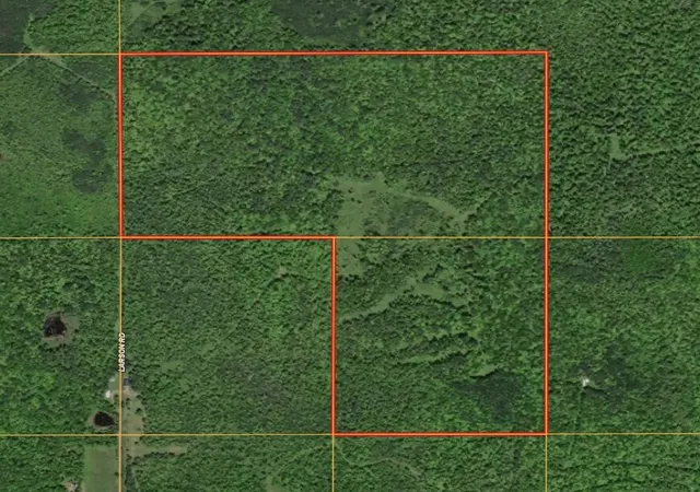 Photo 1 of Land for sale at V/l Larson Rd, Bruce Crossing, MI 49912 | MLS# 70543068 | Listing updated on 2026-07-15