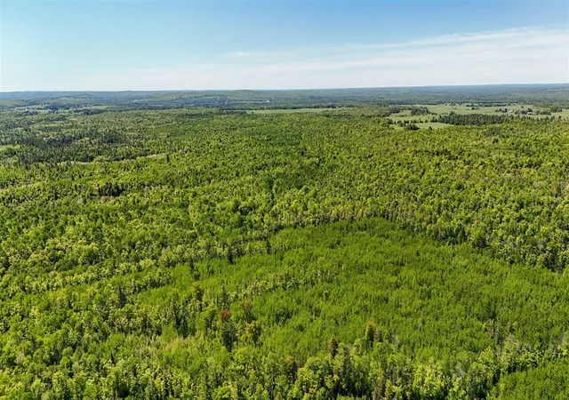 Photo 3 of Sale Pending at V/l Larson Rd, Bruce Crossing, MI 49912 | MLS# 70543068 | Listing updated on 2026-10-05