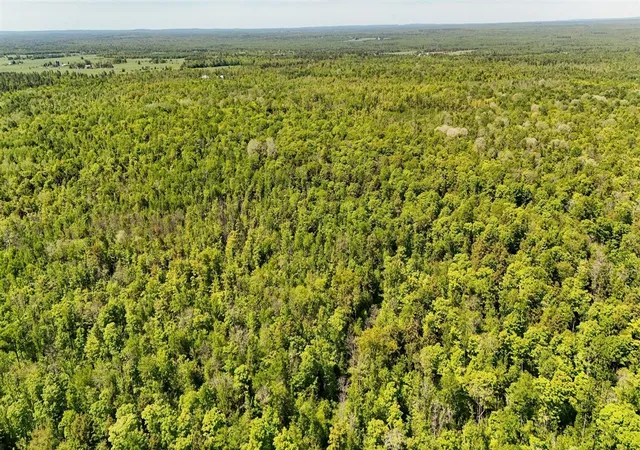 Photo 4 of Sale Pending at V/l Larson Rd, Bruce Crossing, MI 49912 | MLS# 70543068 | Listing updated on 2026-10-05
