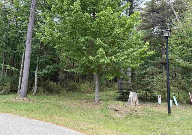 Homes for sale in East Tawas, MI | 741 Manning Ln, East Tawas, MI 48730 | MLS# 80059022
