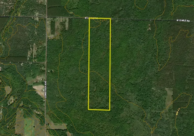 13th image of 0 V/l W 13 Mile Rd, Bitely, MI 49309 | MLS# 70458854