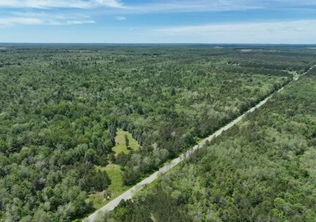 1st image of 0 V/l W 13 Mile Rd, Bitely, MI 49309 | MLS# 70458854