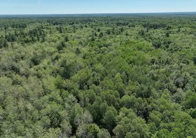 2nd image of 0 V/l W 13 Mile Rd, Bitely, MI 49309 | MLS# 70458854