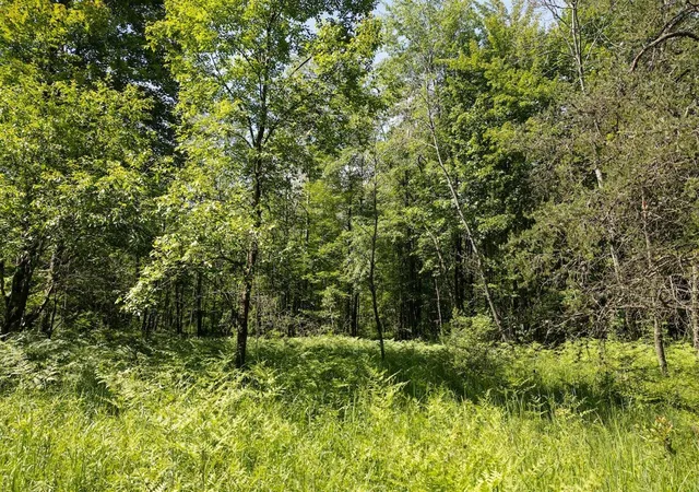 3rd image of 0 V/L W 13 Mile Rd, Bitely, MI 49309 | MLS# 70458854