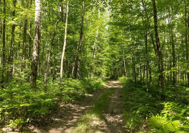 5th image of 0 V/L W 13 Mile Rd, Bitely, MI 49309 | MLS# 70458854