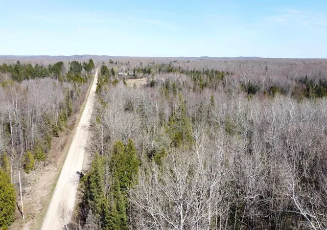 Homes for sale in Chatham, MI | Tbd E Cold Springs Rd, Chatham, MI 49816 | MLS# 50207726