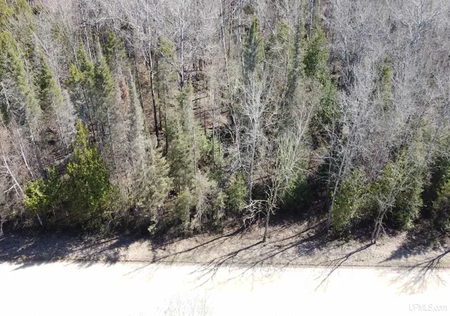 Homes for sale in Chatham, MI | Tbd E Cold Springs Rd, Chatham, MI 49816 | MLS# 50207726