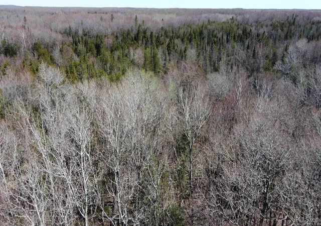 Homes for sale in Chatham, MI | Tbd E Cold Springs Rd, Chatham, MI 49816 | MLS# 50207726