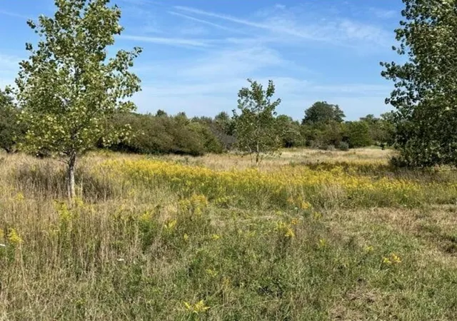 Photo 3 of Land for sale at V/l Rolling Hills Dr, Fennville, MI 49408 | MLS# 70554138 | Listing updated on 2026-08-26