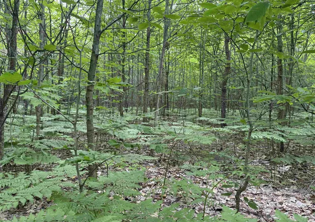 4th image of V/L Parcel B Lamerson Ln, Interlochen, MI 49643 | MLS# 80070038