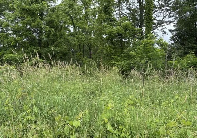3rd image of Vl 56Th St, Fennville, MI 49408 | MLS# 70540922