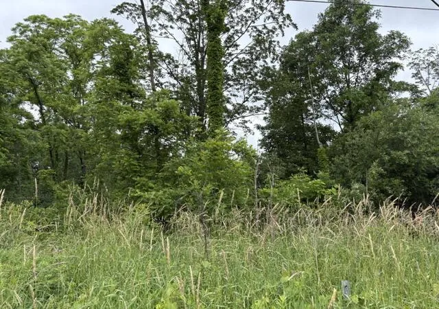 4th image of Vl 56Th St, Fennville, MI 49408 | MLS# 70540922