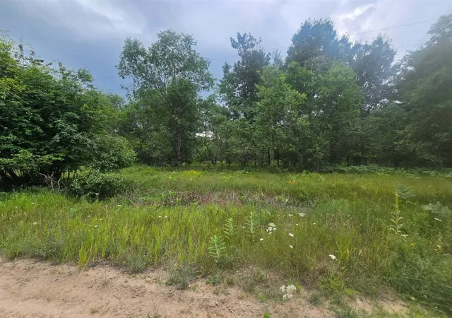 Homes for sale in Fife Lake, MI | 11660 Behlke Rd, Fife Lake, MI 49633 | MLS# 70482118