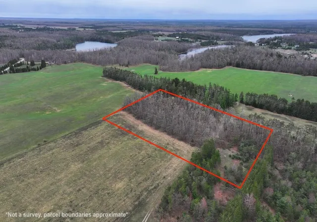 Homes for sale in Gaylord, MI | Pd 463a Kassuba Rd, Gaylord, MI 49735 | MLS# 70542671