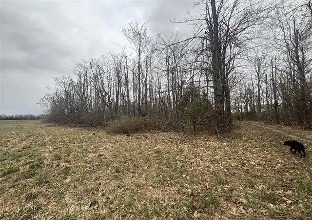 Homes for sale in Gaylord, MI | Pd 463A Kassuba Rd, Gaylord, MI 49735 | MLS# 70542671