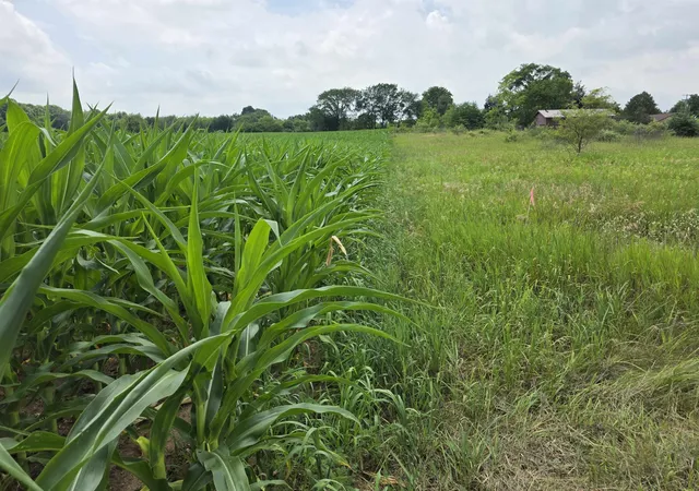 Photo 3 of Land for sale at Tbd W Remus Rd, Mount Pleasant, MI 48858 | MLS# 80071009 | Listing updated on 2026-09-13