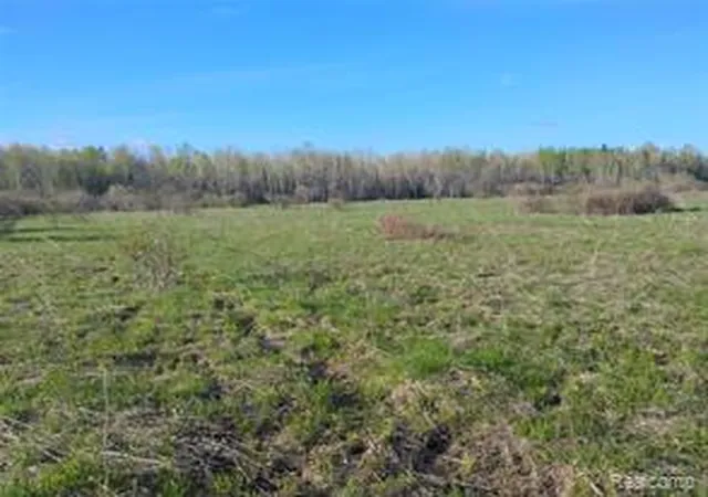 Homes for sale in Rudyard, MI | 0 19 Mile Rd, Rudyard, MI 49780 | MLS# 60996175