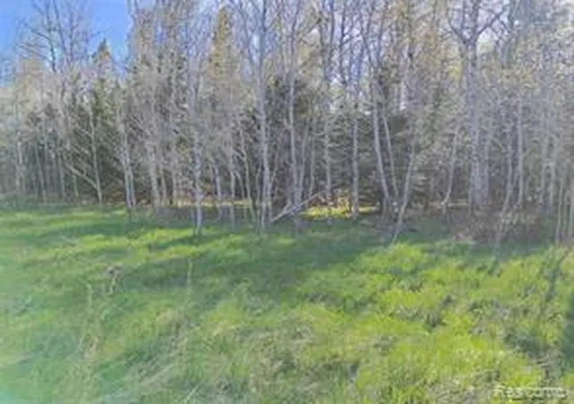 Homes for sale in Rudyard, MI | 0 19 Mile Rd, Rudyard, MI 49780 | MLS# 60996175