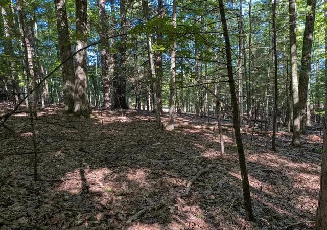 2nd image of W Shawnee Rd, Pentwater, MI 49449 | MLS# 70554522
