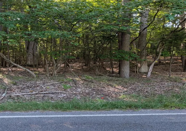 3rd image of W Shawnee Rd, Pentwater, MI 49449 | MLS# 70554522