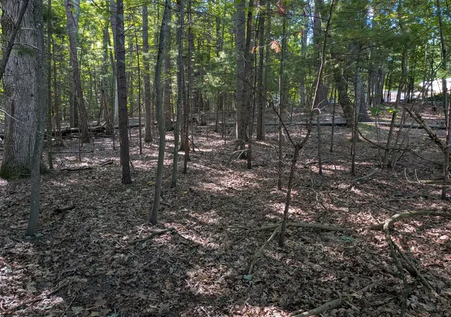 4th image of W Shawnee Rd, Pentwater, MI 49449 | MLS# 70554522