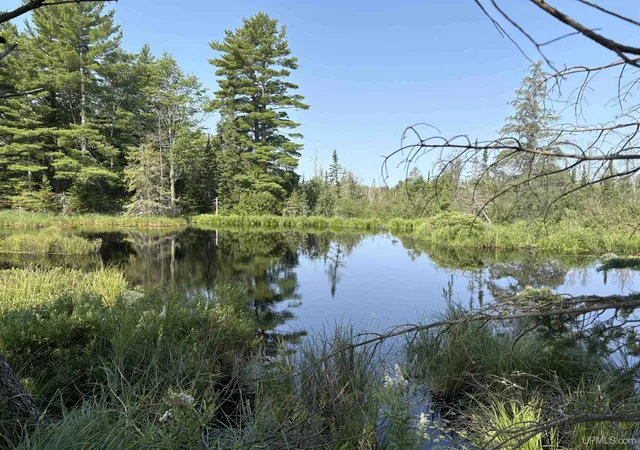 Photo 1 of Land for sale at Pond 80 W Off N Pointe Rd, Deerton, MI 49822 | MLS# 50219101 | Listing updated on 2026-08-28