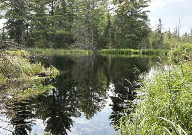 Photo 2 of Land for sale at Pond 80 W Off N Pointe Rd, Deerton, MI 49822 | MLS# 50219101 | Listing updated on 2026-08-28