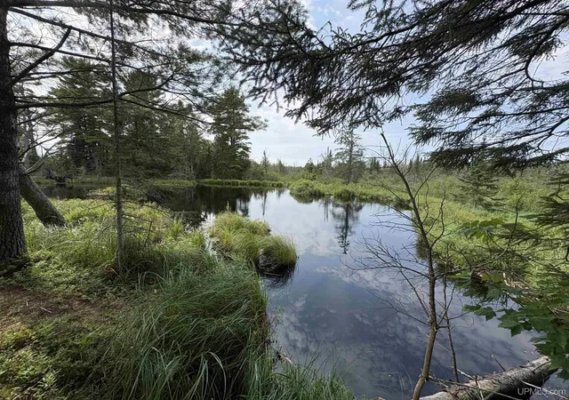 Photo 3 of Land for sale at Pond 80 W Off N Pointe Rd, Deerton, MI 49822 | MLS# 50219101 | Listing updated on 2026-08-28