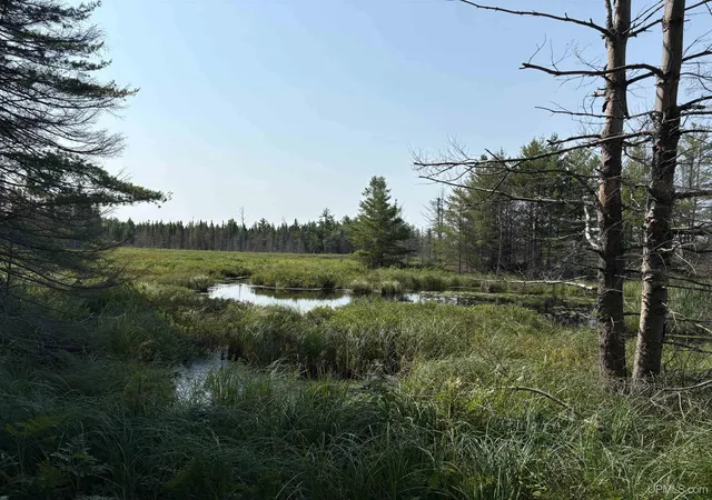 Photo 3 of Land for sale at Pond 80 W Off N Pointe Rd, Deerton, MI 49822 | MLS# 50219101 | Listing updated on 2026-08-28