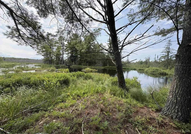 Photo 4 of Land for sale at Pond 80 W Off N Pointe Rd, Deerton, MI 49822 | MLS# 50219101 | Listing updated on 2026-08-28