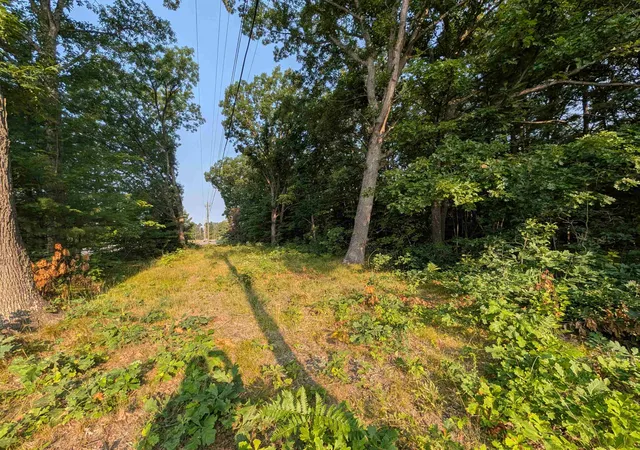 Photo 4 of Land for sale at 9200 US 31 S, Interlochen, MI 49643 | MLS# 80072217 | Listing updated on 2026-08-14