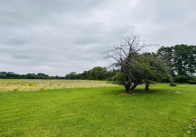 Photo 3 of Land for sale at 0 E Lapan Rd, Pinconning, MI 48650 | MLS# 50213294 | Listing updated on 2026-07-07