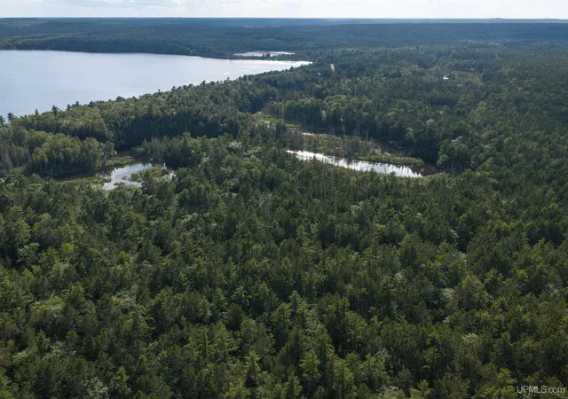 Photo 2 of Sale Pending at Tbd Perry Rd, Au Train, MI 49806 | MLS# 50220271 | Listing updated on 2026-09-15