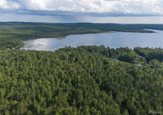 Photo 3 of Sale Pending at Tbd Perry Rd, Au Train, MI 49806 | MLS# 50220271 | Listing updated on 2026-09-15