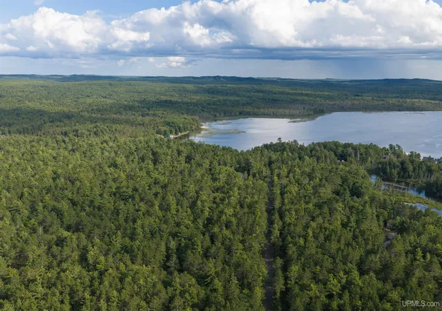 Photo 3 of Sale Pending at Tbd Perry Rd, Au Train, MI 49806 | MLS# 50220271 | Listing updated on 2026-09-15