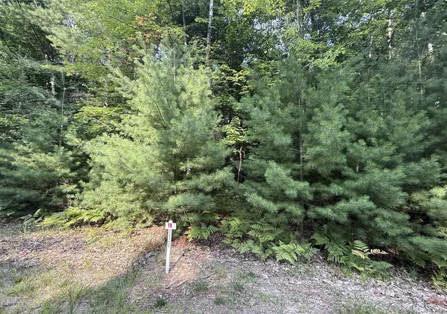 Land for sale at 6842 White Pine Dr, Stanwood, MI 49346-9667 | MLS# 70554127