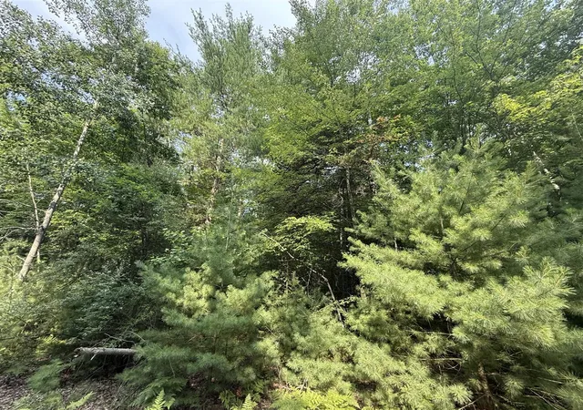 Photo 2 of Land for sale at 6842 White Pine Dr, Stanwood, MI 49346 | MLS# 70554127 | Listing updated on 2026-08-27