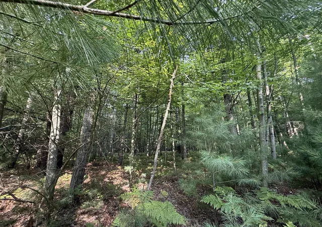 Photo 3 of Land for sale at 6842 White Pine Dr, Stanwood, MI 49346 | MLS# 70554127 | Listing updated on 2026-08-27
