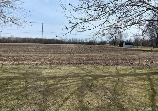 5th image of 8705 Whittaker Rd, Ypsilanti, MI 48197 | MLS# 60978720