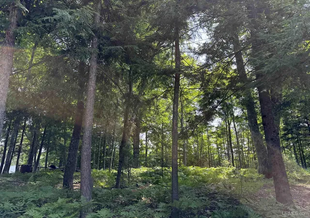 Photo 1 of Land for sale at 44870 County Hwy D, Cable, WI 54821 | MLS# 50199783 | Listing updated on 2026-08-27