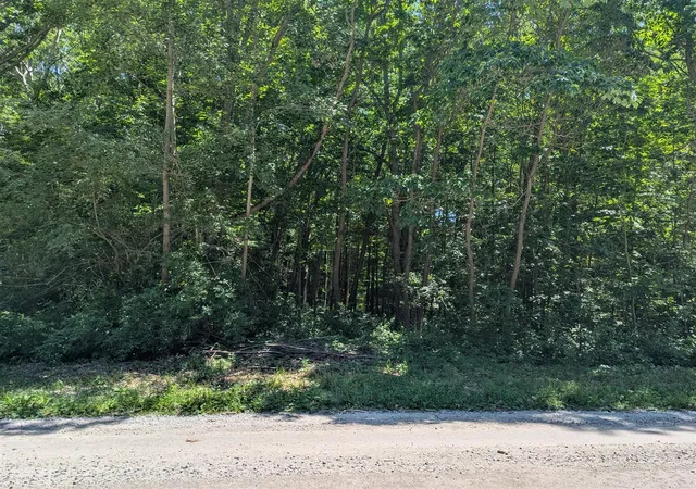 3rd image of 15320 Larsen Ave, Gowen, MI 49326 | MLS# 70543403