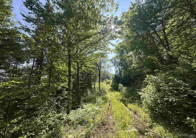 Photo 1 of Land for sale at Off Indian Lake Rd, Michigamme, MI 49861 | MLS# 50194469 | Listing updated on 2026-02-06