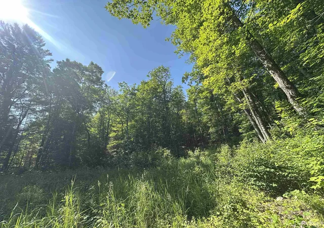 Photo 2 of Land for sale at Off Indian Lake Rd, Michigamme, MI 49861 | MLS# 50194469 | Listing updated on 2026-02-06