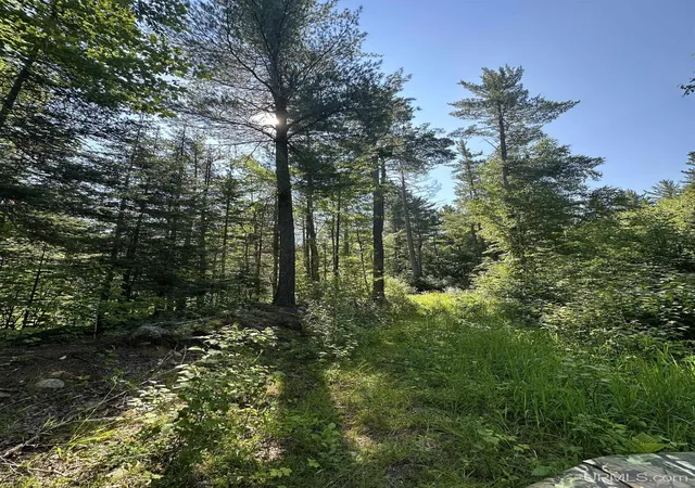 Photo 3 of Land for sale at Off Indian Lake Rd, Michigamme, MI 49861 | MLS# 50194469 | Listing updated on 2026-02-06