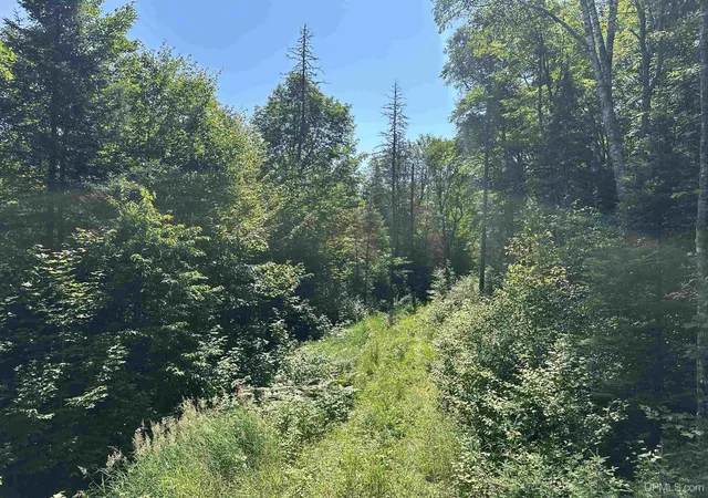 Photo 9 of Land for sale at Off Indian Lake Rd, Michigamme, MI 49861 | MLS# 50194469 | Listing updated on 2026-02-06
