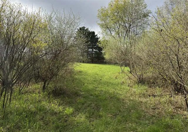 Homes for sale in Sand Lake, MI | 6920 Pringle St, Sand Lake, MI 49343 | MLS# 70528941