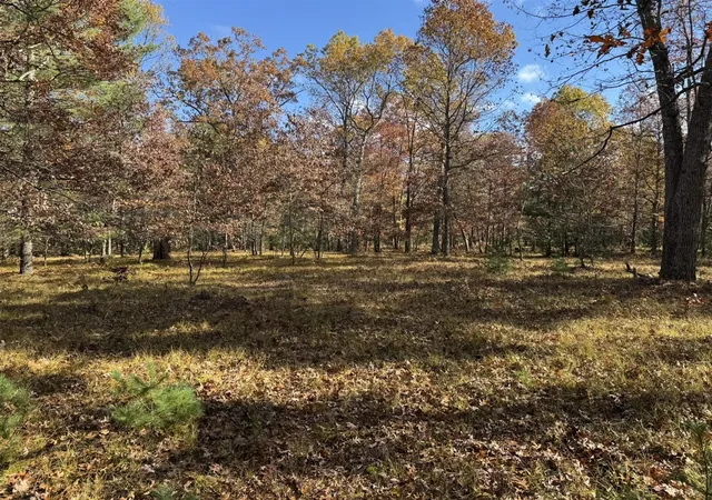 Homes for sale in Free Soil, MI | Parcel 11 County Line Rd, Free Soil, MI 49411 | MLS# 70519674