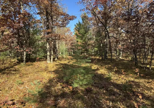 Homes for sale in Free Soil, MI | Parcel 11 County Line Rd, Free Soil, MI 49411 | MLS# 70519674